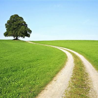 星空体育app手机app下载