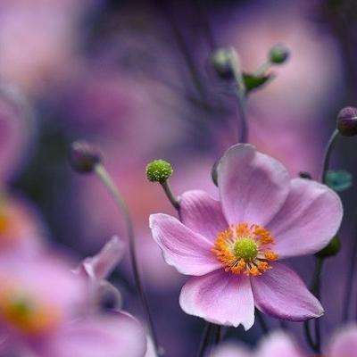 爱游戏·官方网站