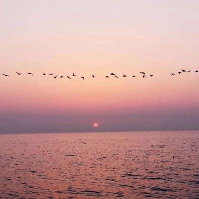 云开全站·appkaiyun