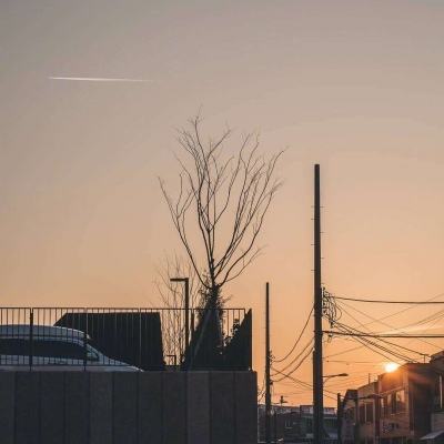 博鱼boyu体育官方网站