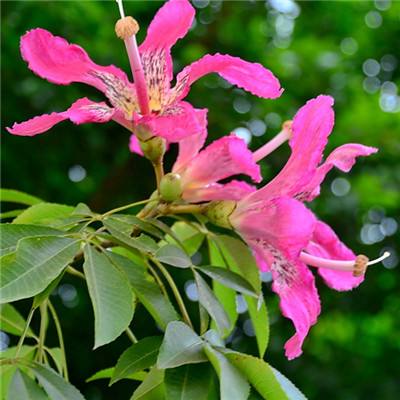 奥亚国际-登录入口