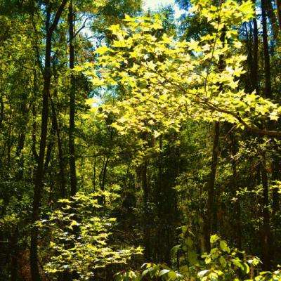 爱体育官方app下载手机版截图