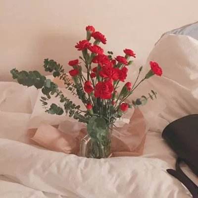 爱体育官方app下载手机版